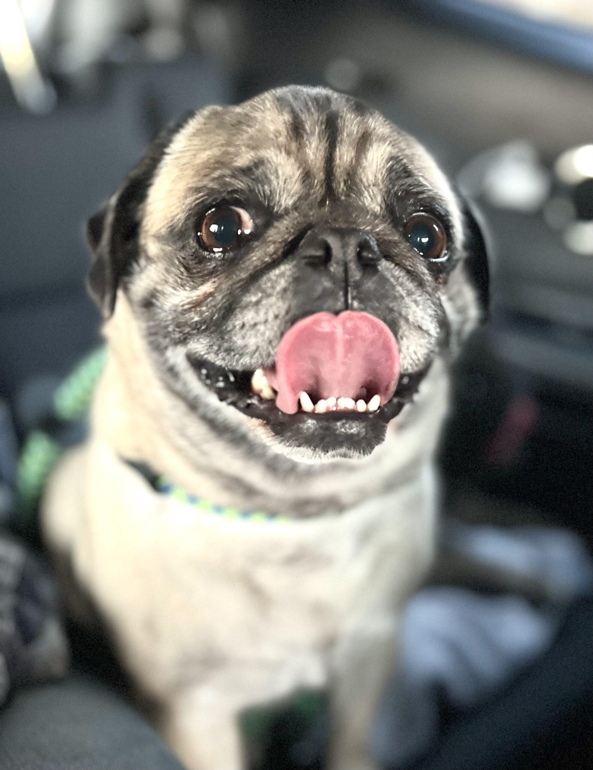 Photo Feb 07 2023, 5 05 16 PM