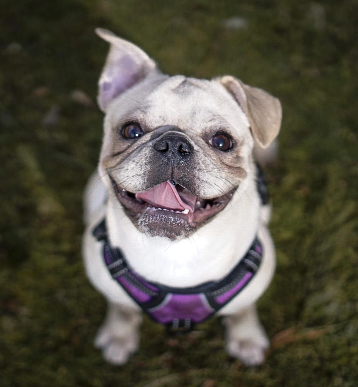 Photo Feb 12 2023, 9 09 49 AM