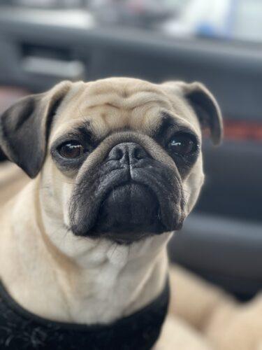 Photo Feb 25 2023, 3 13 30 PM