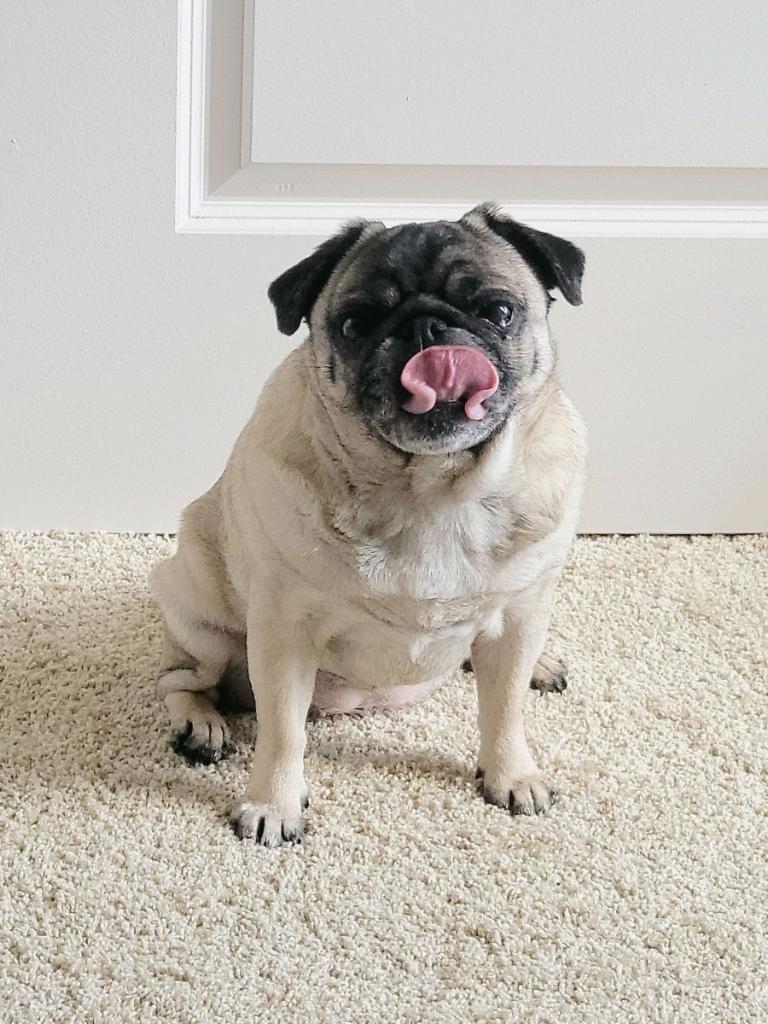 Photo May 25 2023, 9 36 03 PM (16)