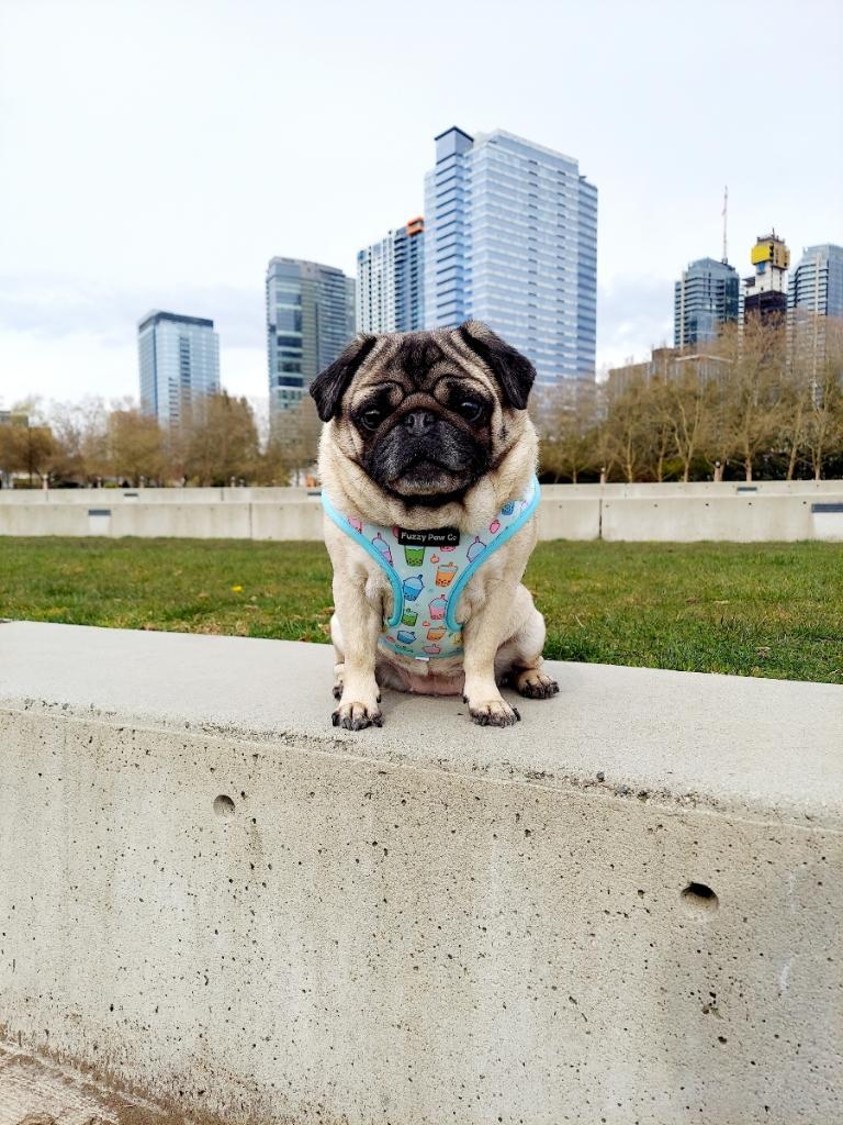 Photo May 25 2023, 9 36 03 PM (7)