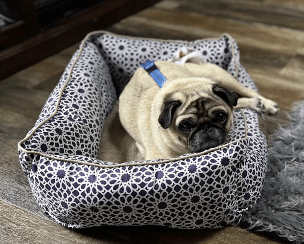 Screenshot 2023-05-23 at 9.56.24 PM