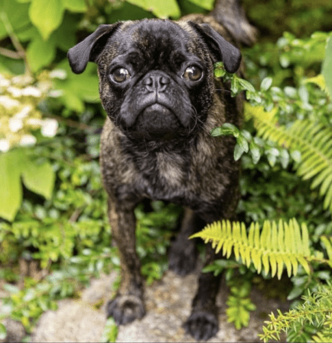 Screenshot 2023-05-25 at 4.53.25 PM