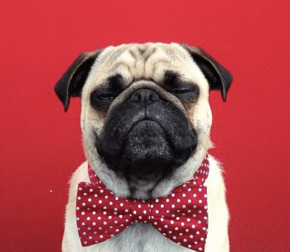 Screenshot 2023-05-29 at 10.47.39 AM