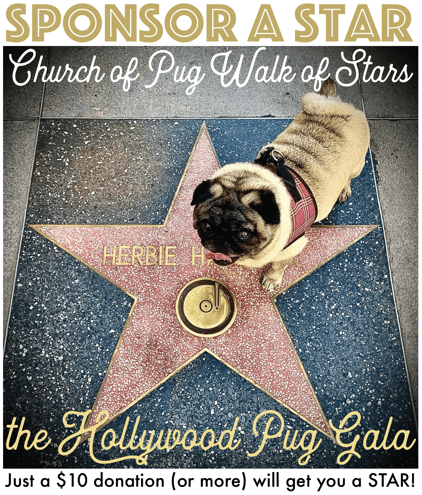 Screenshot 2023-06-10 at 3.59.54 PM