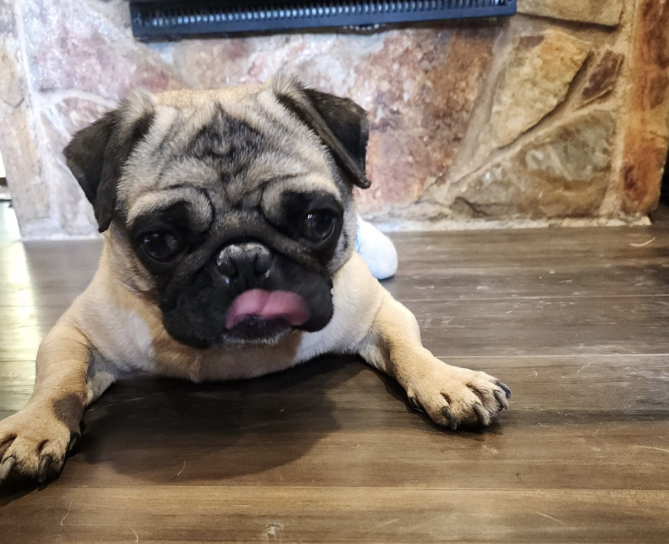 Screenshot 2024-05-20 at 5.43.30 AM