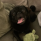 Oliver