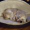 Bugsy