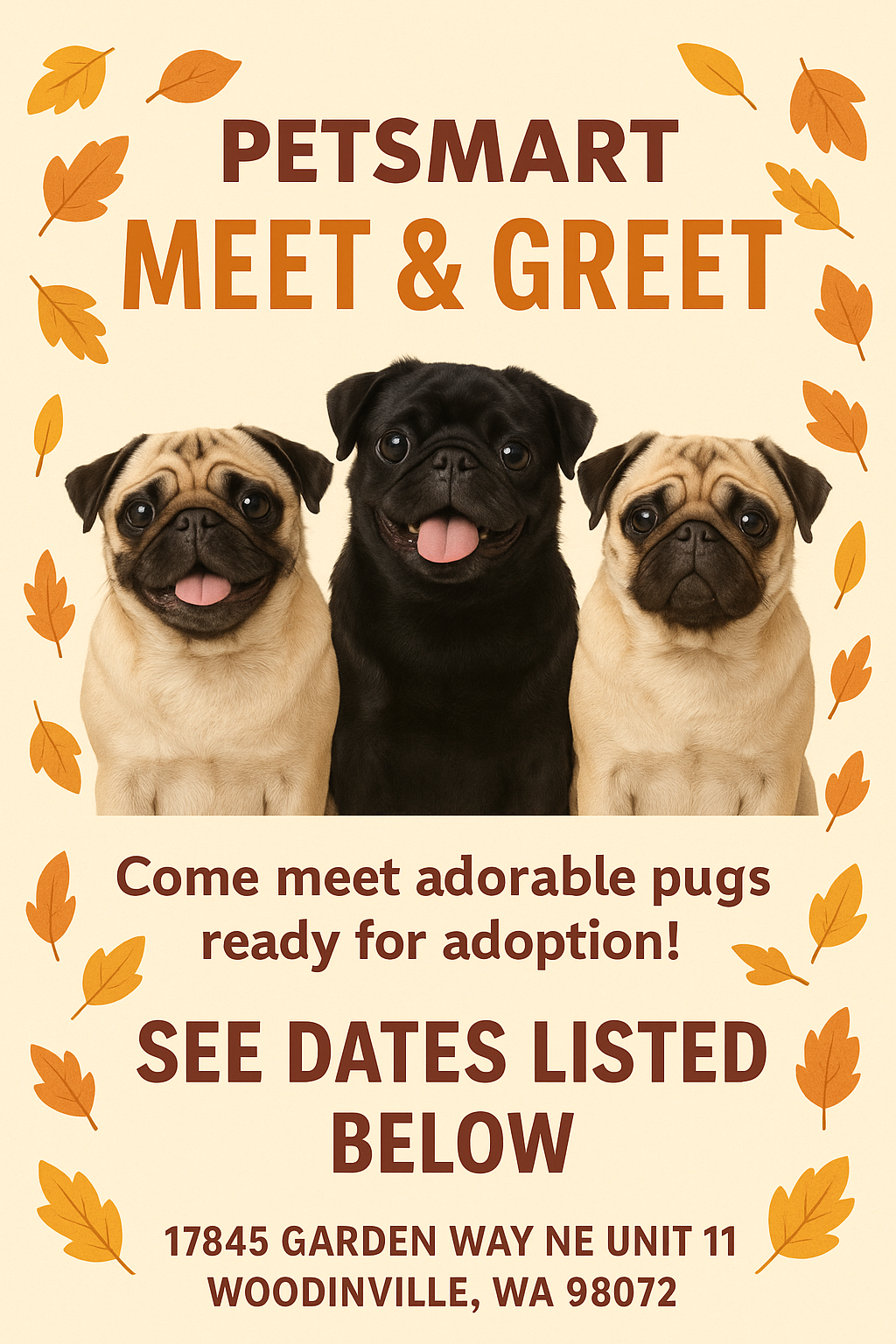 20251103 Meet in Greet