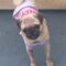 Peggy